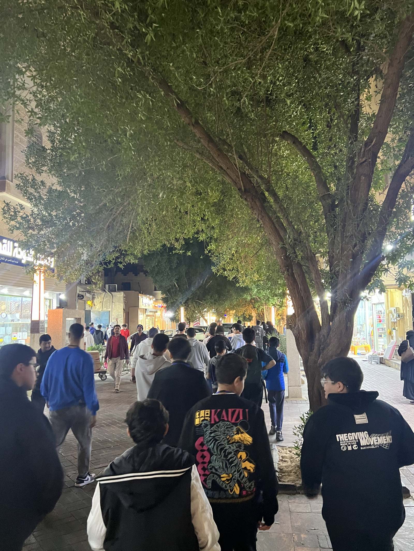 Students walking beneath a large tree in an Al-Ahsa souq