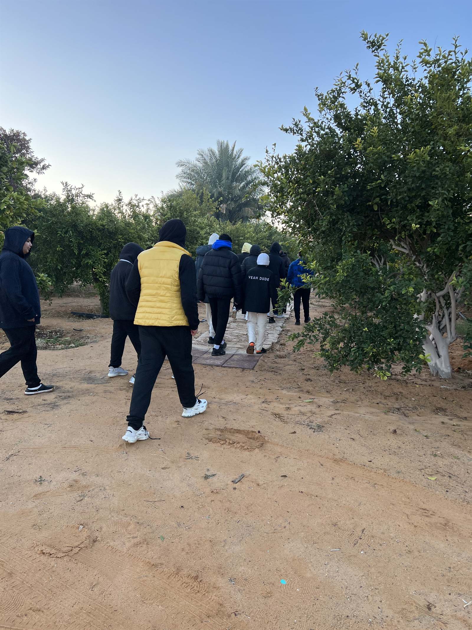 Students walking a path between orchards in AlUla