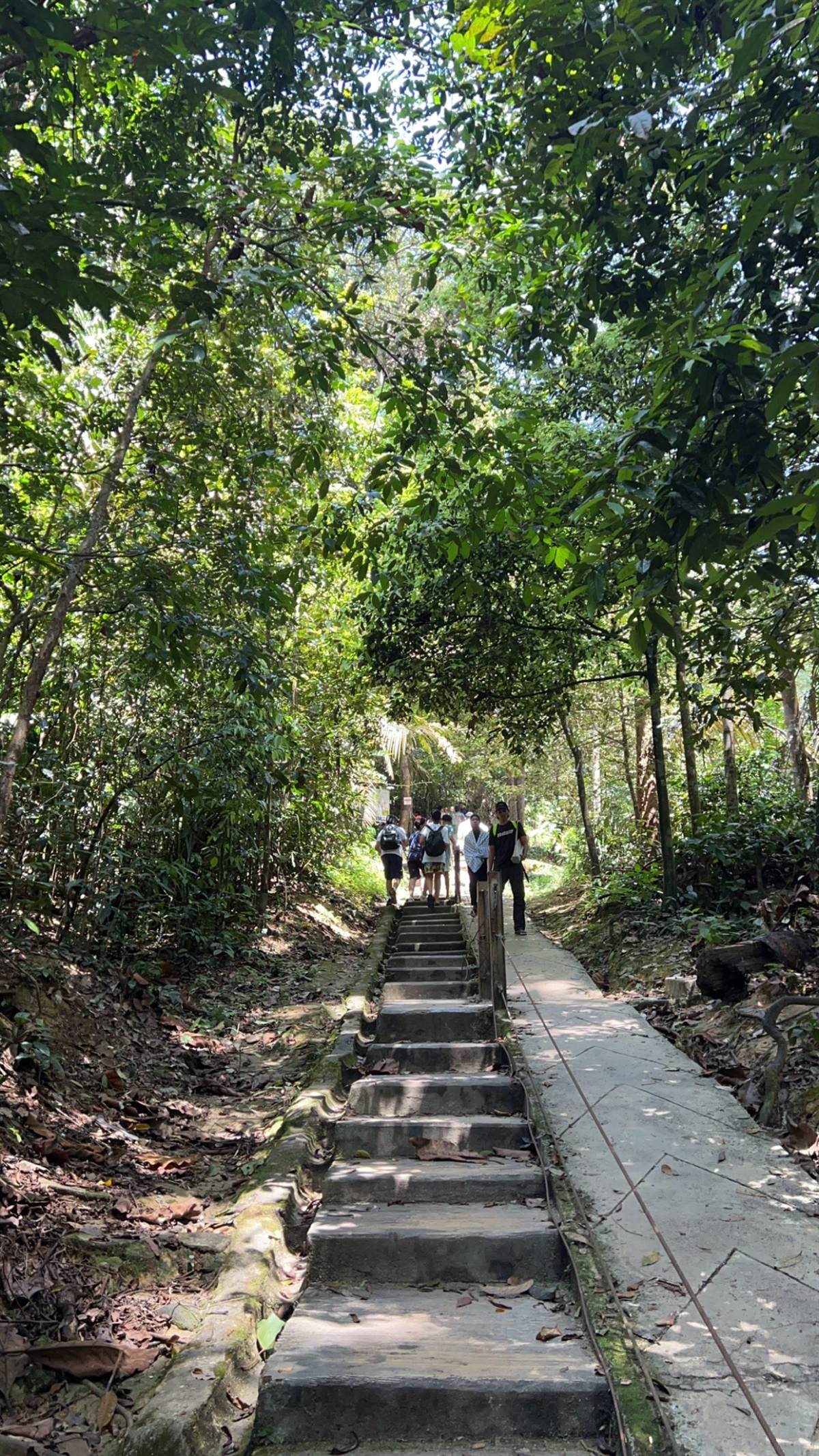 Stone steps descending through Malaysian rainforest
