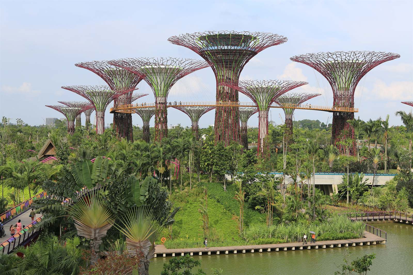 The Supertree Grove at Gardens by the Bay, Singapore